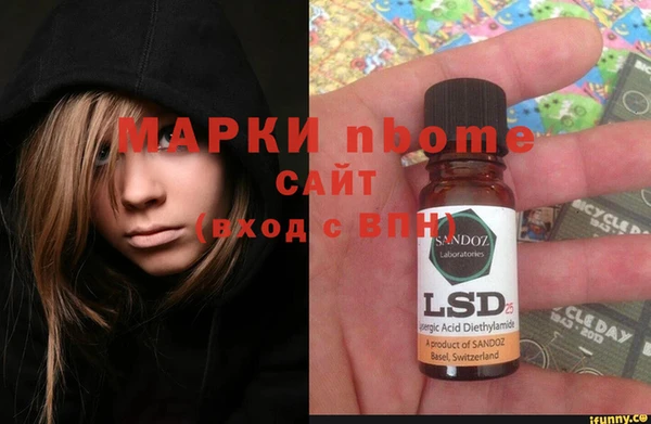 прущие грибы Надым