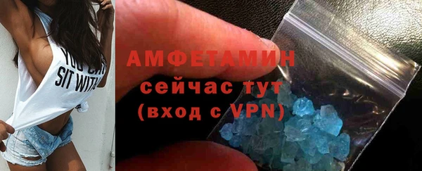прущие грибы Надым