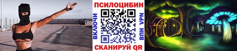 Купить где  Краснообск  Псилоцибиновые грибы Magic Shrooms 